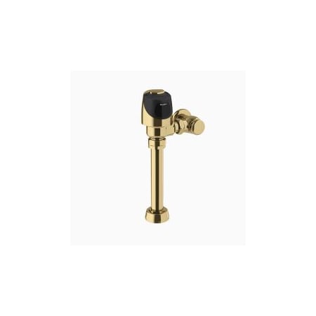 Polished Brass
