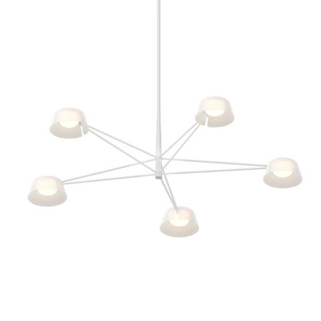 Alternative Image