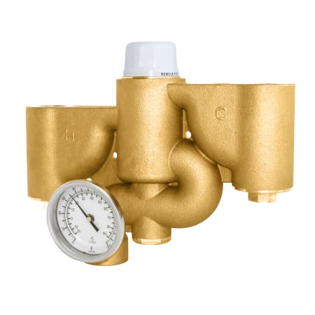 Speakman Safe-T-Zone Thermostatic Mixing Valve - 62.5 GPM Flow Capacity N/A