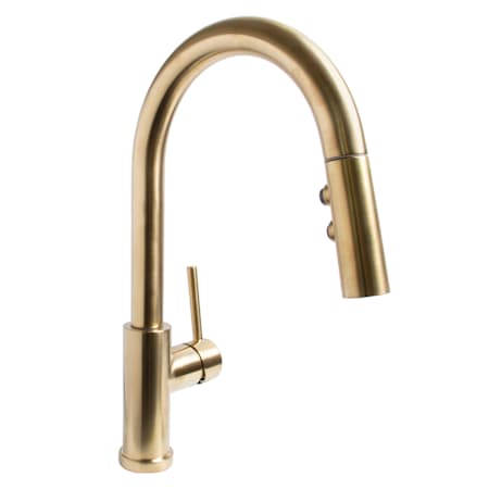 Speakman Neo 1.8 GPM Single Hole Pull Down Kitchen Faucet Brushed Brass