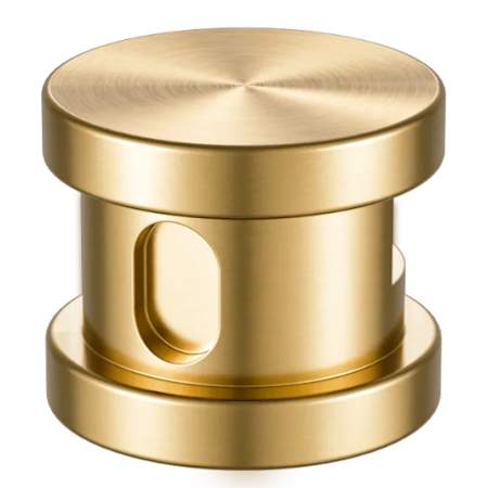SteamSpa Steamhead with Aromatherapy Reservoir Brushed Gold
