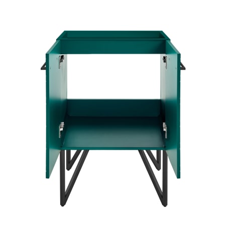 Alternate Image