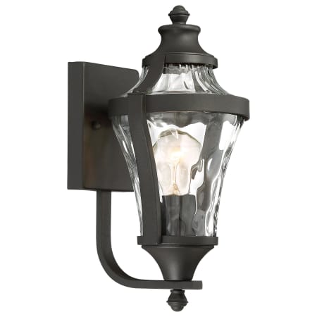 The Great Outdoors Libre 1 Light 14" Tall Outdoor Wall Sconce with Water Glass Shade Black