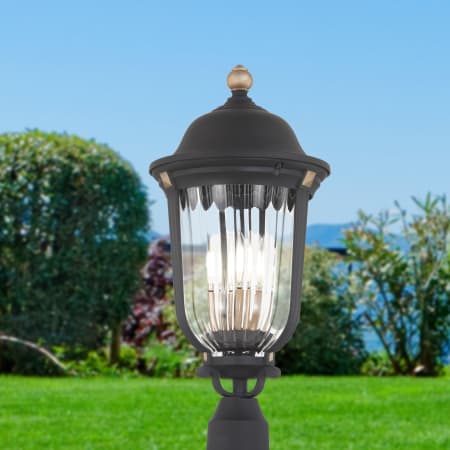 Outdoor Application Shot