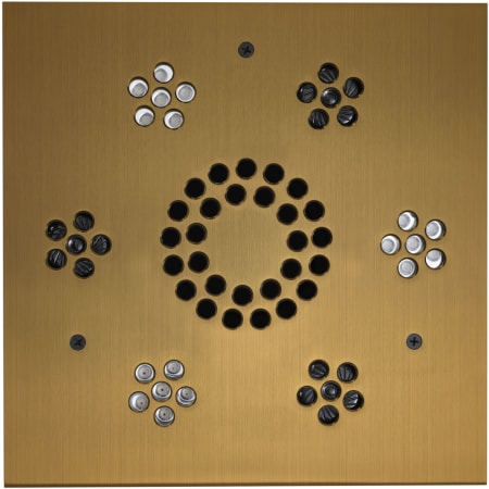 ThermaSol Serenity Square Steam Shower Speaker with LED Lights and Remote Control Antique Brass