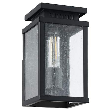 Thesis Overton 1 Light 10" Tall Outdoor Wall Sconce with Clear Antique Glass Matte Black