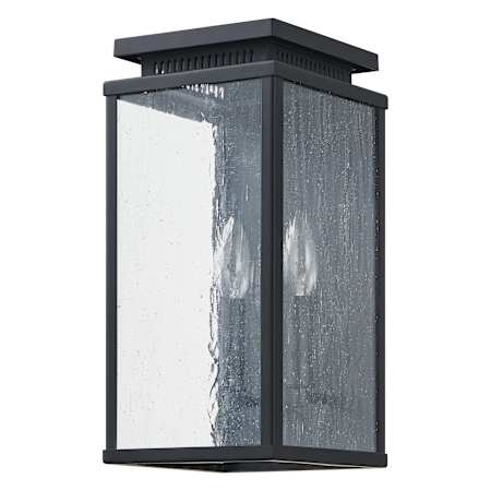 Thesis Overton 2 Light 15" Tall Outdoor Wall Sconce with Clear Antique Glass Matte Black