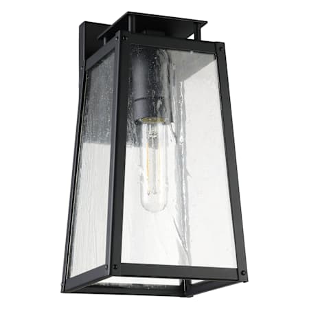 Thesis Salford 1 Light 14" Tall Outdoor Wall Sconce with Clear Antique Glass Matte Black