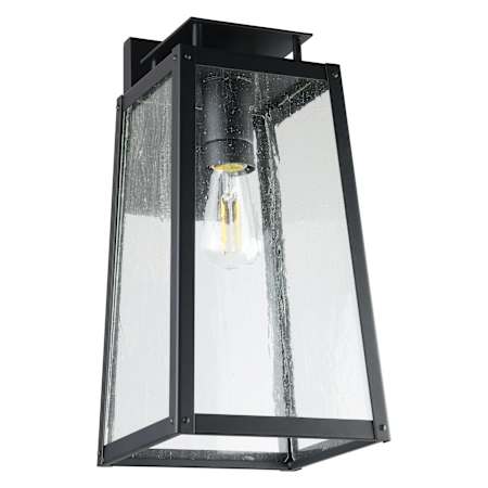 Thesis Salford 1 Light 17" Tall Outdoor Wall Sconce with Clear Antique Glass Matte Black