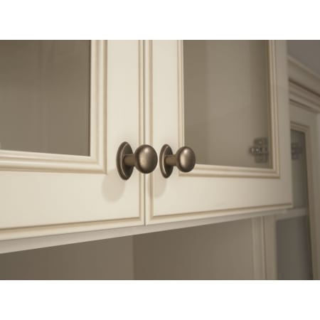 Aspen Egg Knob M1532 In Use with Oval Back Plate M1437