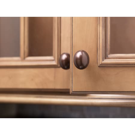 Aspen Egg Knob M1533 In Use