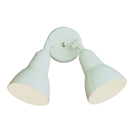 Trans Globe Lighting Two Light Down Lighting Outdoor Flood Light from the Outdoor Collection White