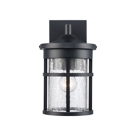 Trans Globe Lighting Crackled 1 Light Outdoor Lantern Wall Sconce Black