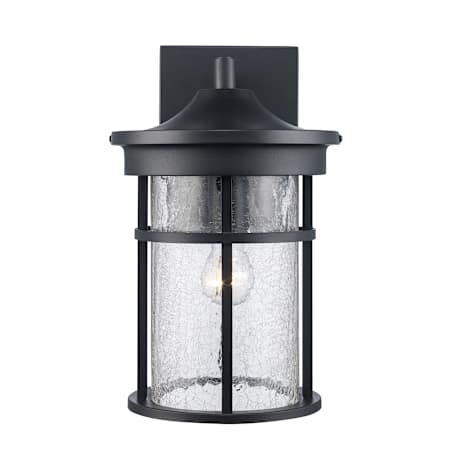 Trans Globe Lighting Avalon Single Light 14-1/2" Tall Outdoor Wall Sconce with Crackle Glass Shade Black