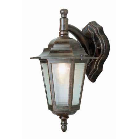 Trans Globe Lighting Single Light Down Lighting Outdoor Wall Sconce from the Outdoor Collection Black