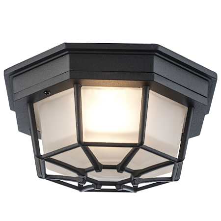 Trans Globe Lighting Single Light Down Lighting Flush Mount Ceiling Fixture from the Outdoor Collection Black