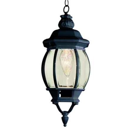 Trans Globe Lighting Single Light Down Lighting Small Outdoor Pendant from the Outdoor Collection Black