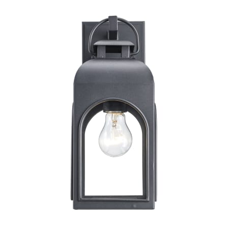 Trans Globe Lighting Presence 13" Tall Outdoor Wall Sconce Black