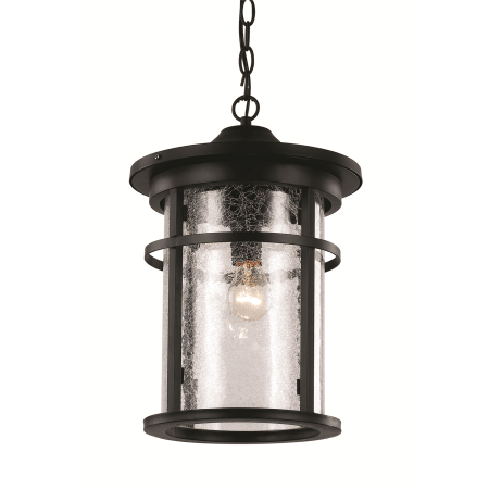 Trans Globe Lighting Crackled 1 Light Outdoor Lantern Pendant Black