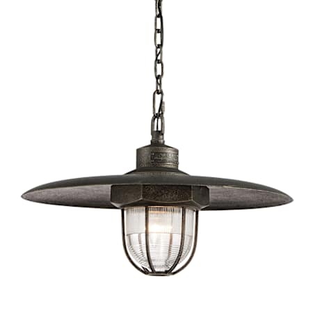 Troy Lighting Acme 13" Tall 1 Light Pendant with Hand-worked Iron and Clear Glass Shade Aged Pewter