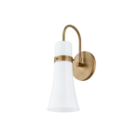 Troy Lighting Maple 14" Tall Wall Sconce Patina Brass