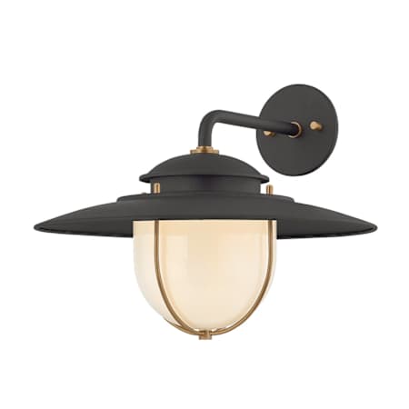 Troy Lighting Greentree 13" Tall Wall Sconce Forged Iron / Patina Brass