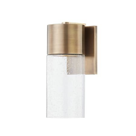 Troy Lighting Pristine 13" Tall Outdoor Wall Sconce Patina Brass