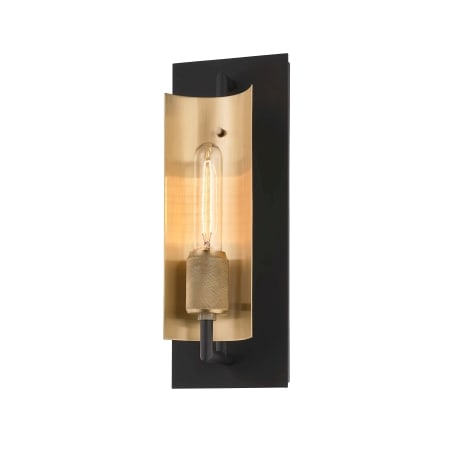Troy Lighting Emerson Single Light 14" Tall Wall Sconce Carbide Black