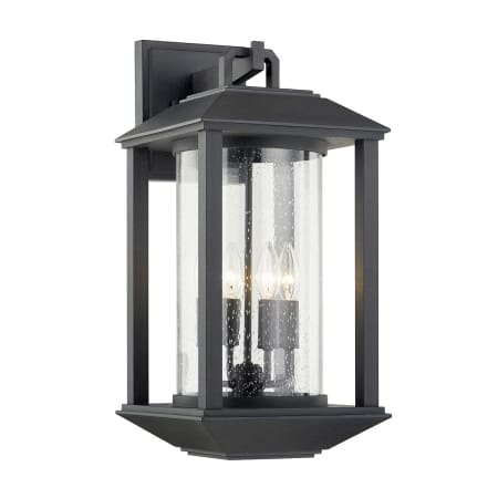 Troy Lighting Mccarthy 4 Light 22" Tall Outdoor Wall Sconce Forged Iron