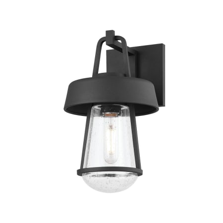 Troy Lighting Brady 13" Tall Wall Sconce Textured Black
