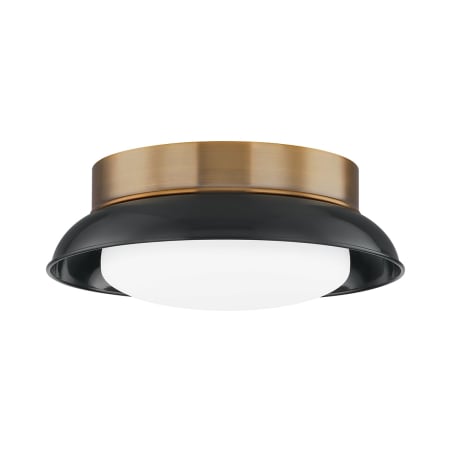 Troy Lighting Arnie 2 Light 15" Wide Flush Mount Ceiling Fixture Patina Brass / Glossy Black