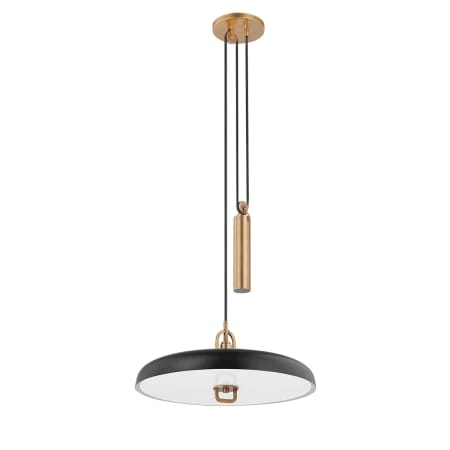 Troy Lighting Plummet 18" Wide Pendant Patina Brass / Soft Black