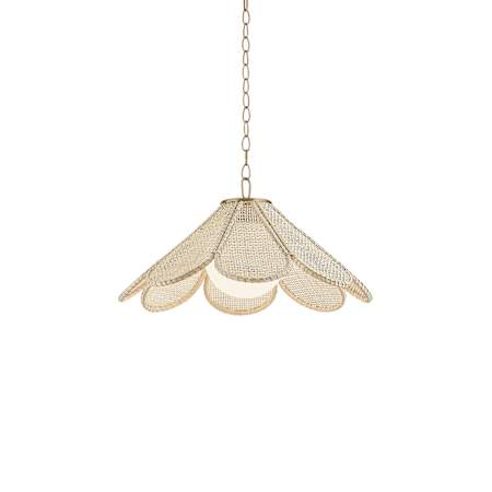 Troy Lighting Petal 24" Wide Pendant with Rattan and Glass Shades Patina Brass