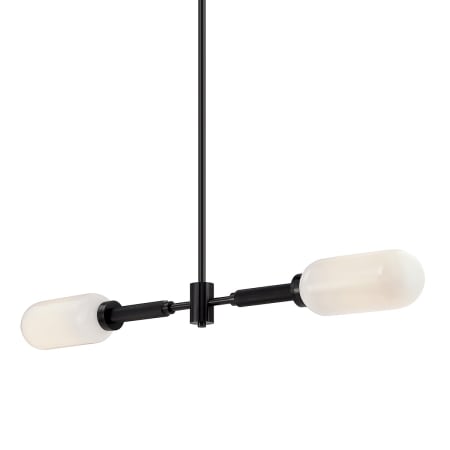 Troy Lighting Annex 2 Light 48" Wide Linear Chandelier Anodized Black