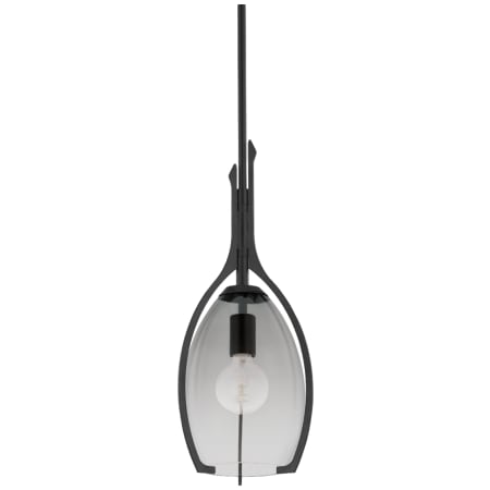 Troy Lighting Pacifica 9" Wide Mini Pendant Forged Iron
