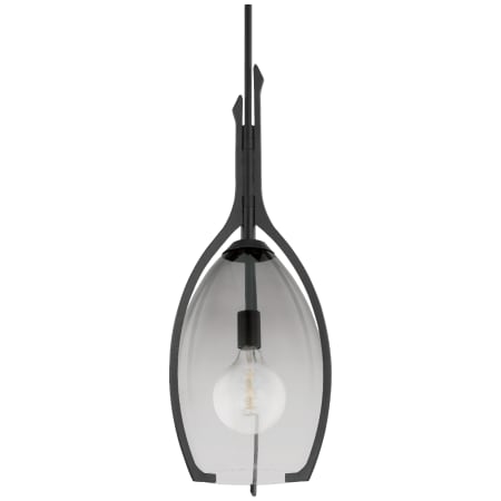 Troy Lighting Pacifica 13" Wide Pendant Forged Iron