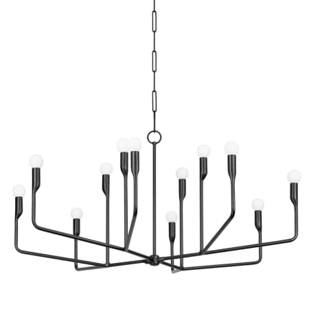Troy Lighting Norman 12 Light 42" Wide Chandelier Forged Iron