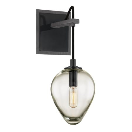 Troy Lighting Brixton Single Light 15" Tall Wall Sconce with Clear Glass Acorn Shade Graphite