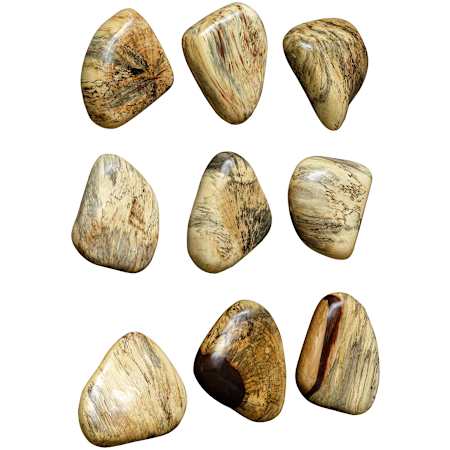 Uttermost Pebbles 5" Tall Wood Minerals and Rocks Sculpture - Set of 9 Brown