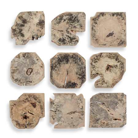 Uttermost Bahati 16" x 16" Bleached Wood Decorative Panel - Set of 9 Brown