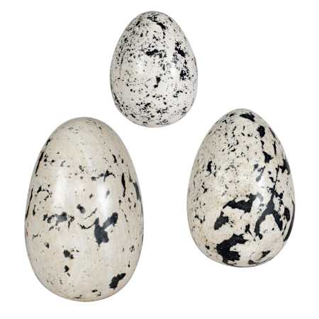 Uttermost Nest Trio Indoor / Outdoor Stone Eggs - Set of 3 Black / White