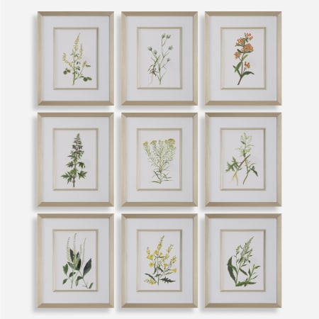 Uttermost Botanical Flowers Framed Floral Mixed Media Print - Set of 9 Green