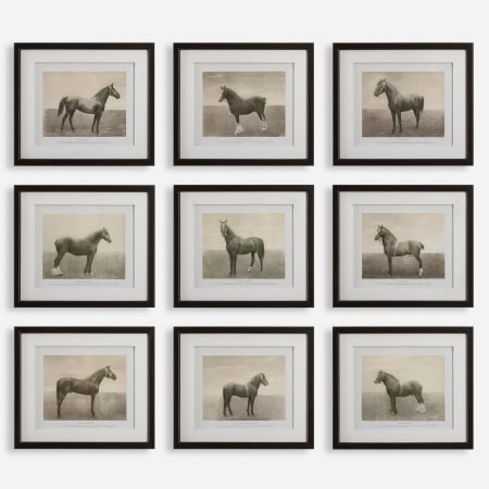 Uttermost Equine Dynasty Framed Animals Photographic Print - Set of 9 Black