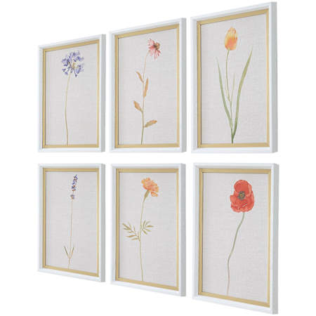 Uttermost Wild Flourish 20" x 14" Framed Floral Graphic Print - Set of 6 Multicolored