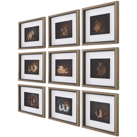 Uttermost Resting Bunny 16" x 18" Framed Animals Graphic Print - Set of 9 Multicolored