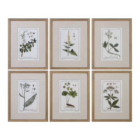 Uttermost Green Floral Botanical Study Six Piece Framed Print Set by Grace Feyock Natural Prints / Gold Leaf Frame