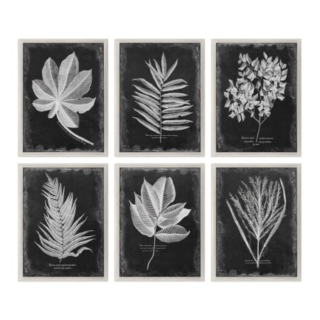 Uttermost Botanical 25-3/4" Wide Canvas Art by Grace Feyock Champagne Silver