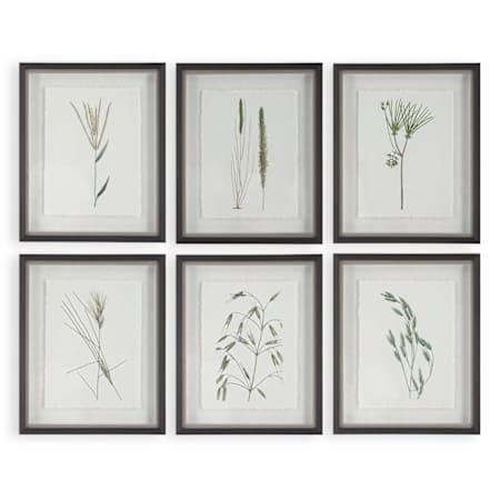 Uttermost Forest Finds 22" x 18" Framed Botanical Graphic Print - Set of 6 Multicolored