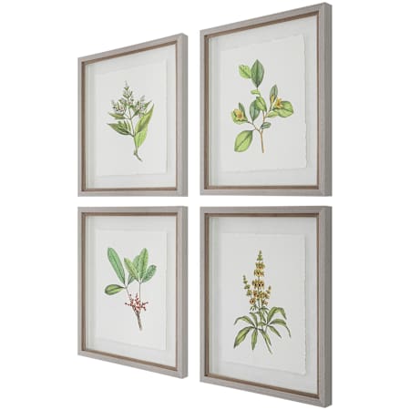 Uttermost Wildflower Study 22" x 19" Framed Floral Painting - Set of 4 Multicolored