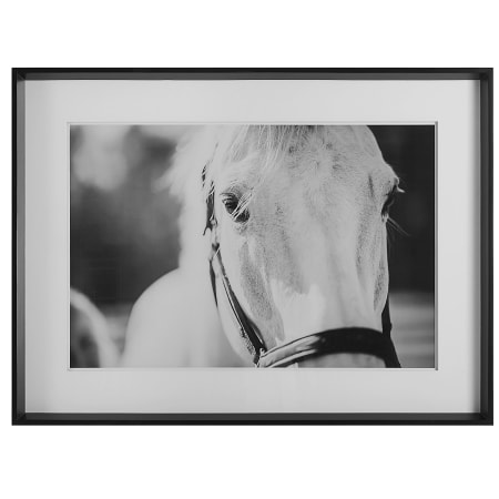 Uttermost Eyes On The Prize 33" x 33" Framed Animals Photographic Black